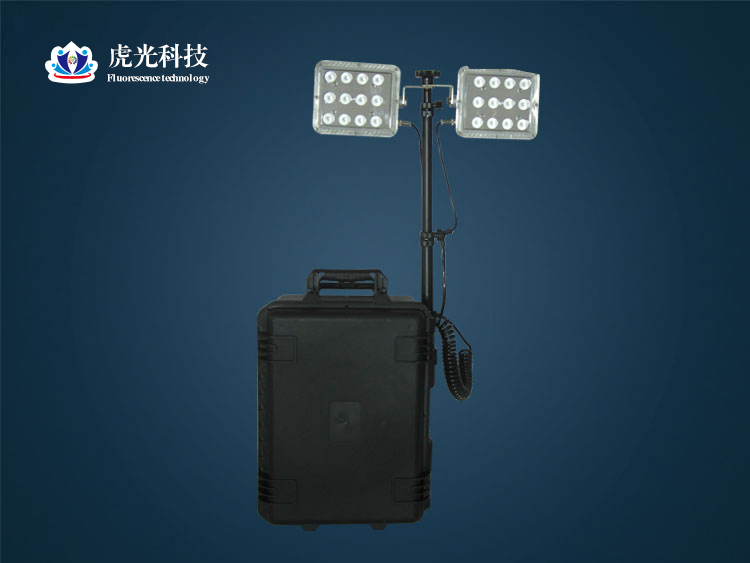 1531734884446687.jpg 46.jpg